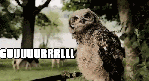 anigif_enhanced-buzz-16380-1357144984-0