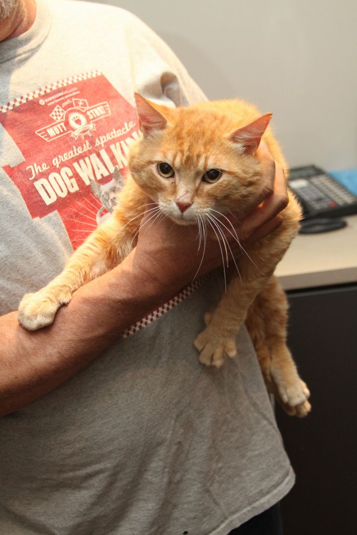 14322175910176-e1432217727688