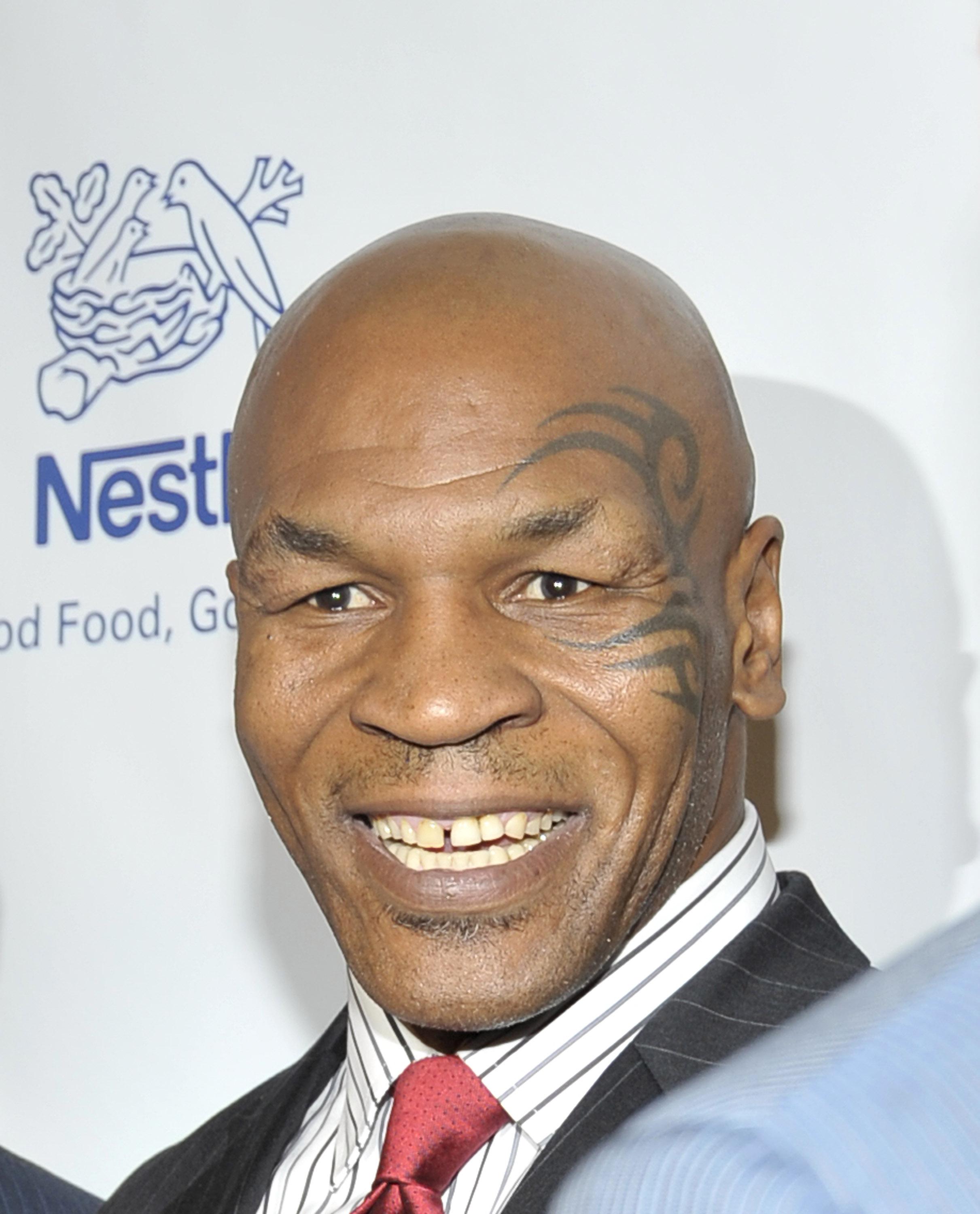 11th Annual Harold Pump Foundation Gala - Arrivals