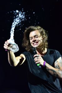 harry styles,