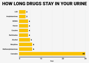 Drugs In System