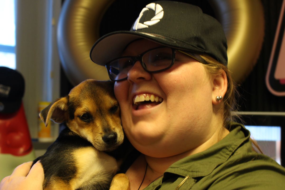 Buster's Dog House - Levi