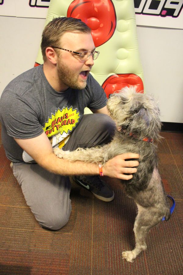 Letty From The Humane Society of Indianapolis