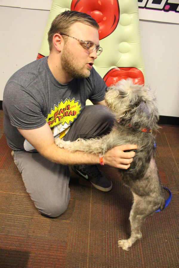 Letty From The Humane Society of Indianapolis