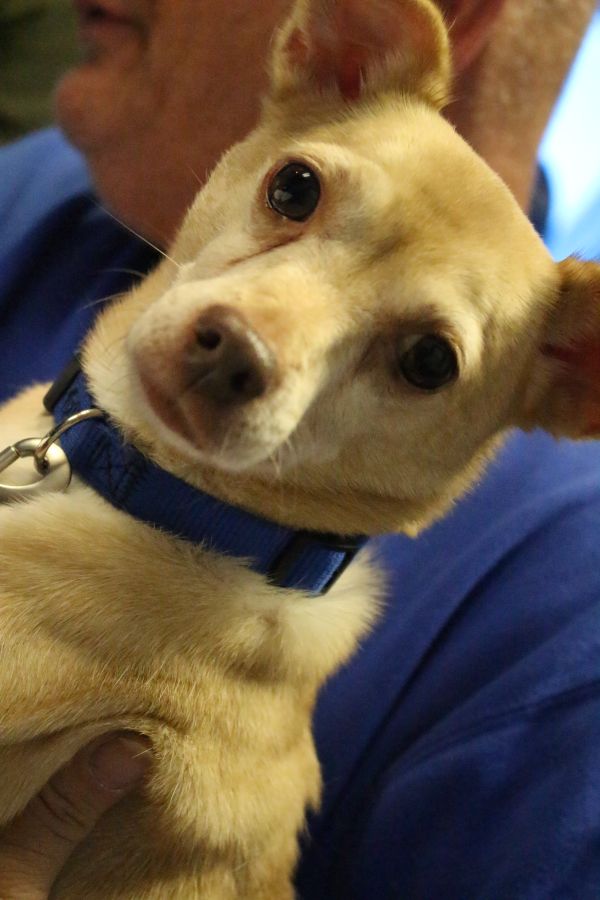 Buster's Dog House - Cheech