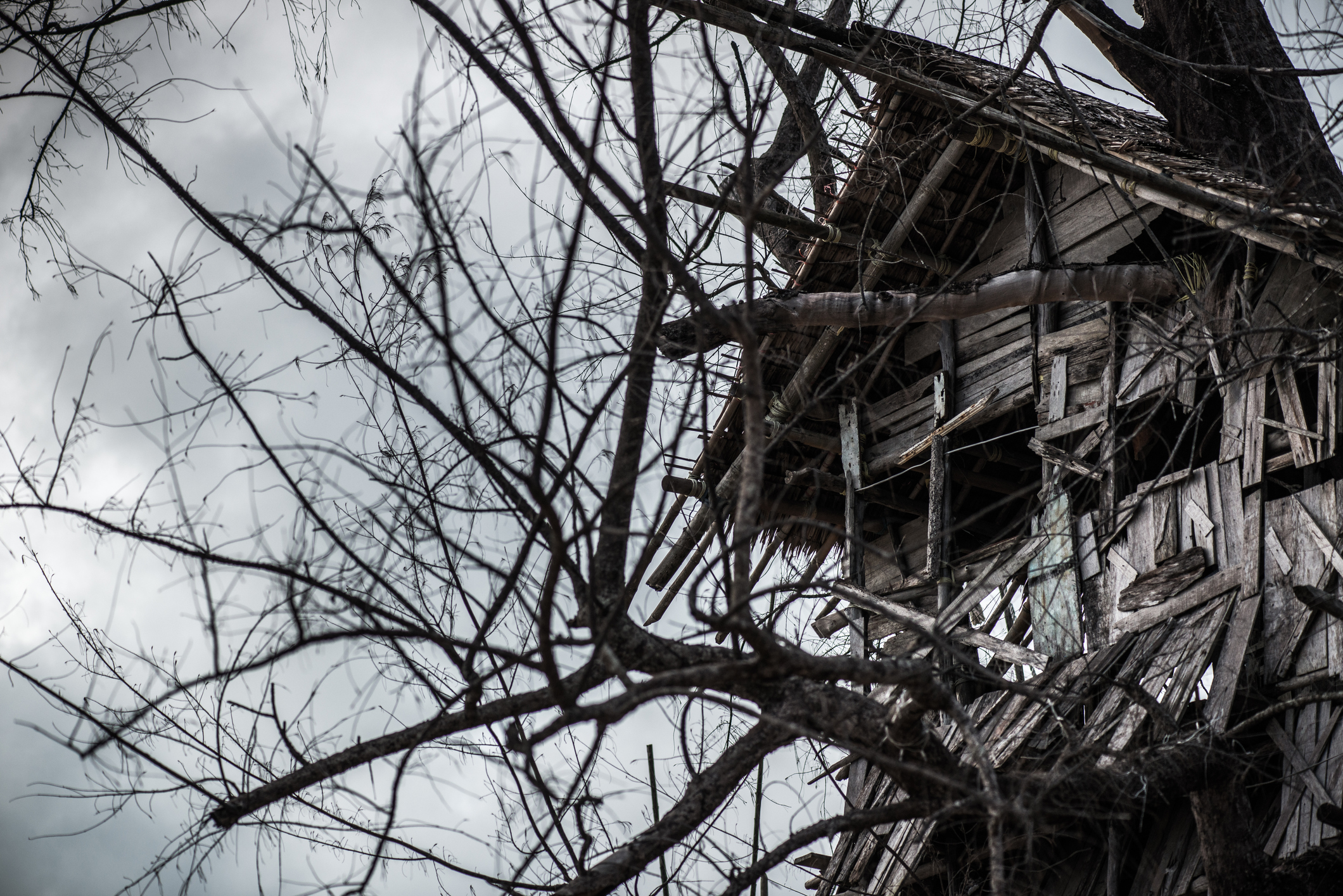 Scary looking wooden tree house under stormy sky