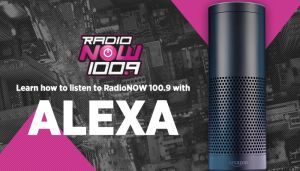 Indy Station "Alexa" Graphics