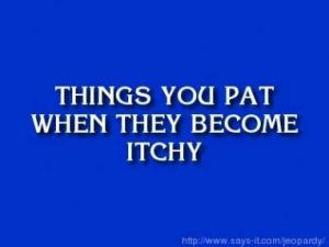 incognito hood jeopardy posted on the corner