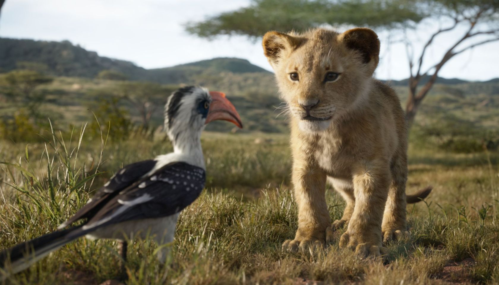Disney's The Lion King stills