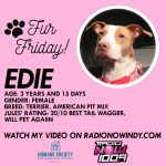Fur Friday- Edie