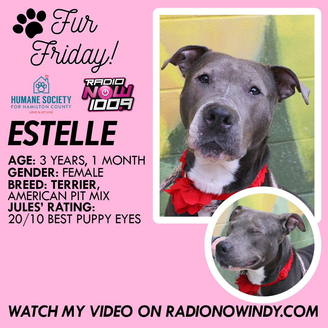 Fur Friday: Estelle